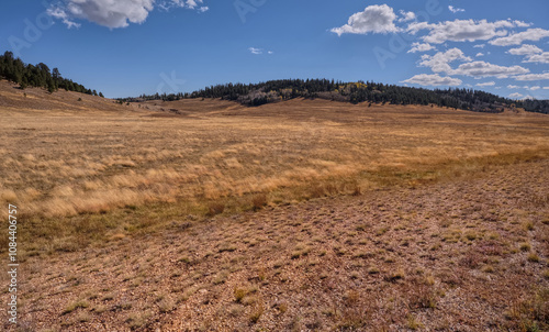 Pleasant Valley in Kaibab National Forest AZ