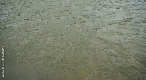 Canvas Print photo of murky water in the river