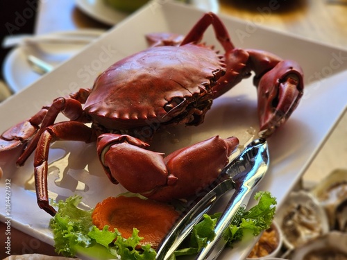 Crab feast celebration seafood restaurant food presentation indoor dining close-up view culinary delight photo