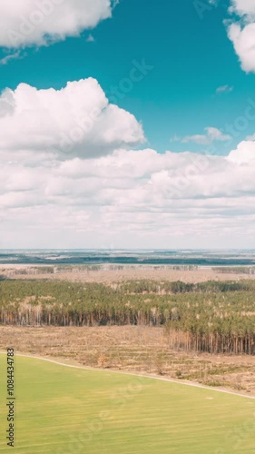 Aerial View Green Pine Forest Deforestation Area Landscape And Agriculrural Field. Top View Of Growing Forest Near Field. Bird's Eye View. Drone Lapse Hyperlapse. . Timelapse Dronelapse Hyperlapse photo