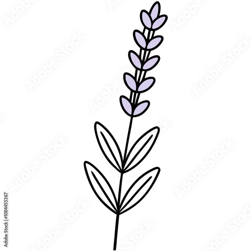 lavender in Black Pot Vector Design