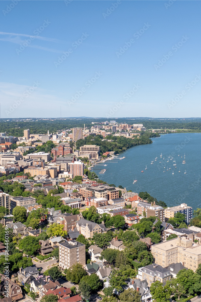 Fototapeta premium default