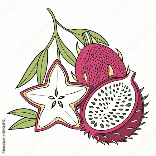 Vector Illustration of a Dragon Fruit, Exotic Tropical Fruit, Pitaya Drawing, Fresh Healthy Food, Organic Produce, Digital Art, Graphic Design, Vibrant Fruit Clipart