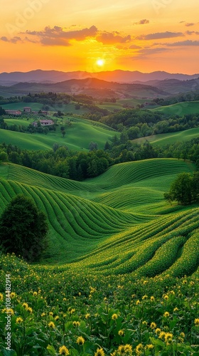 Breathtaking Sunset Over Rolling Green Hills and Fields: A Serene Rural Landscape Painting