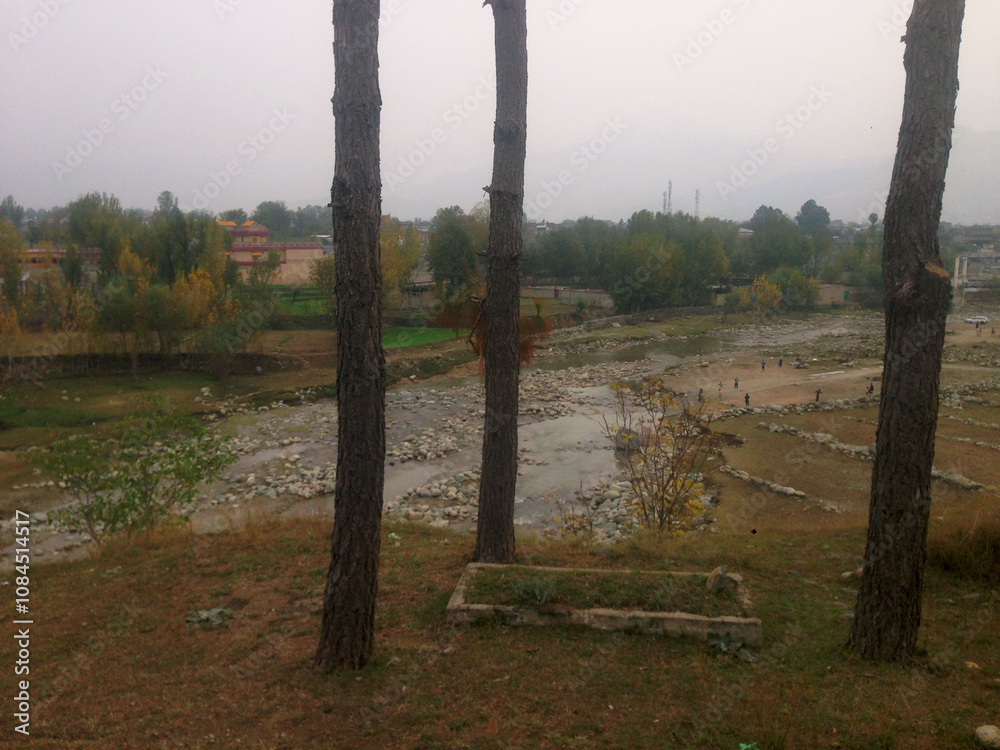 long pine trees and tombs rainy wether countryside nature village river scene, great for decoration, travel, website and print purposes long pine trees and tombs rainy wether countryside nature village river scene, great for decoration, travel, website and print purposes
