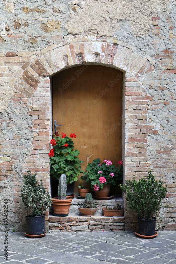 Naklejka premium Medieval front door with plants