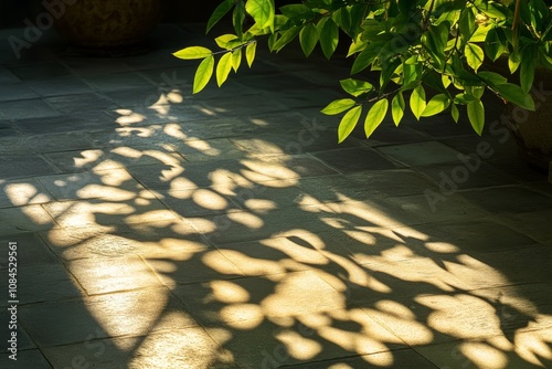 Sunlight casting shadows on green leaves in an indoor setting during late aft...