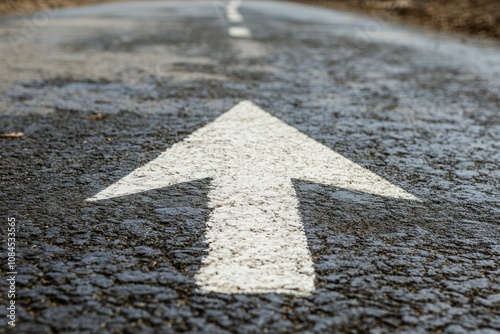 Directional road marking on a quiet roadway in a rural area during daytime su...