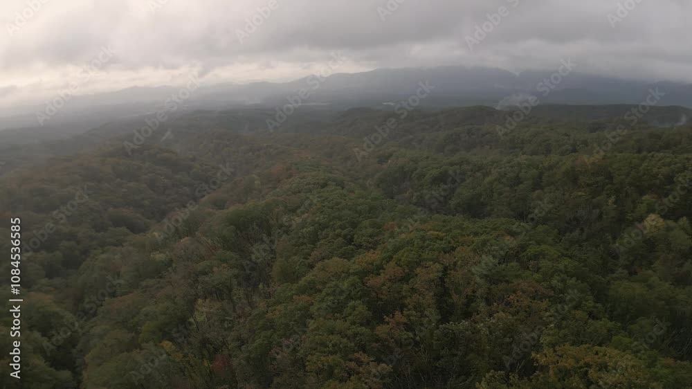 大山ドローン空撮05 大山ドローン空撮05