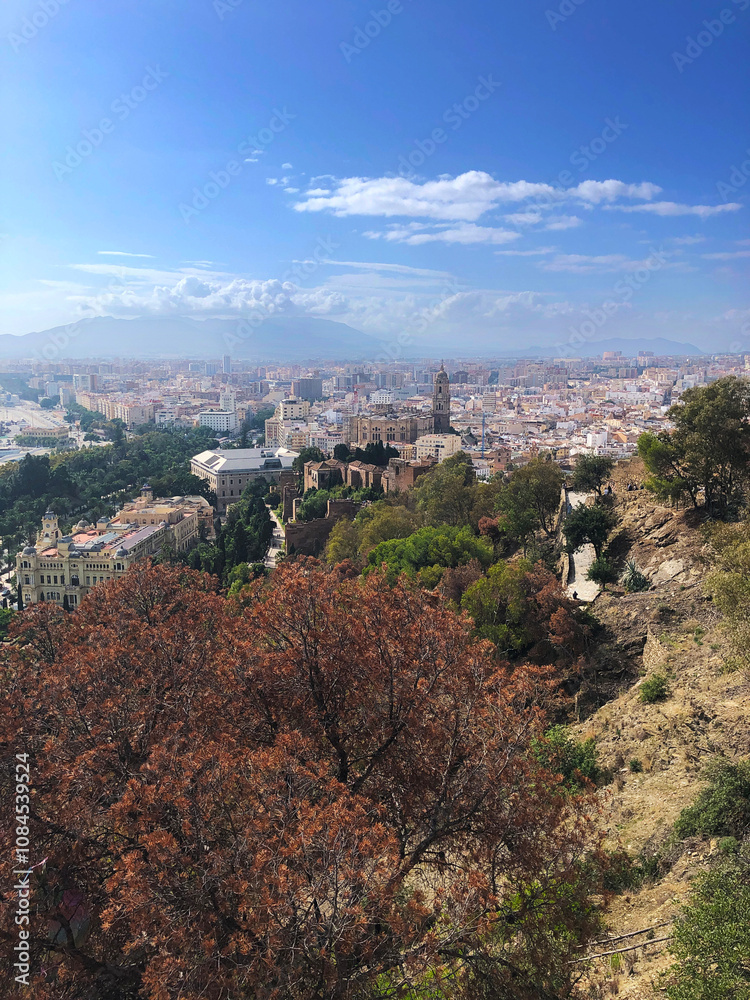 Obraz premium View of Malaga and Malaga Cathedral, Andalusia, Spain