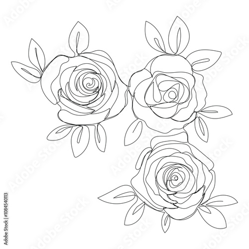 Roses. Isolated beautiful black and white rose with leaves on the corner for romantic card