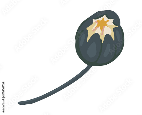 Abstract water lily plant. Lotus flower in cartoon style. Botanical clip art isolated on white. Single vector illustration.