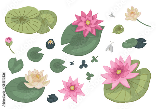 Abstract water lily plants collection. Set of lotus flowers in cartoon style. Botanical clip arts isolated on white. Vector illustration.