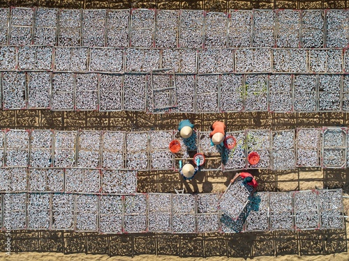 Fish drying in Vietnam photo