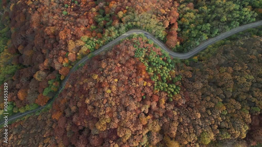 Aerial view of winding road through vibrant autumn forest. Perfect for travel, nature, or seasonal projects. Stunning fall foliage colors. Aerial view of winding road through vibrant autumn forest. Perfect for travel, nature, or seasonal projects. Stunning fall foliage colors.