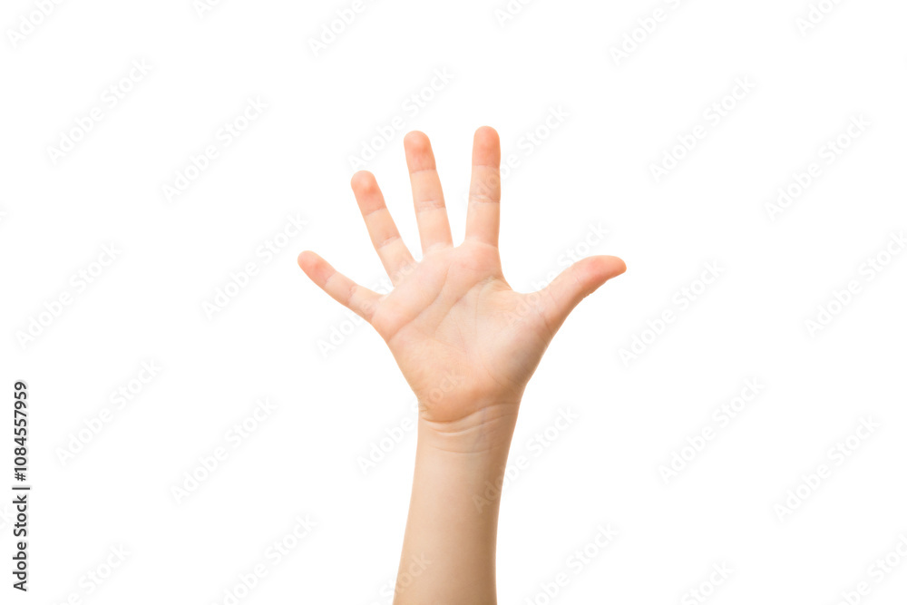 Little child hand showing five fingers isolated on white background. Front view. Little child hand showing five fingers isolated on white background. Front view.