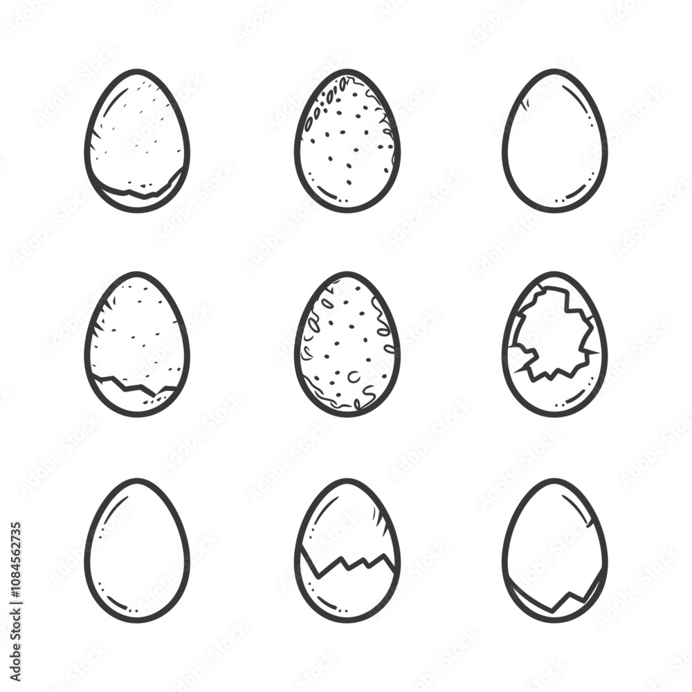 Hand drawn Egg Stages in Black and White
