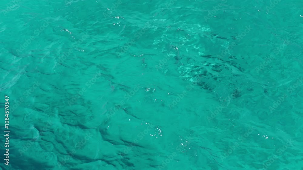 custom made wallpaper toronto digitalWaves moving on azure Red Sea. Blue water surface, foam bubbles. Travel, boat trips, summer holidays, tourism. Travel beach holidays.