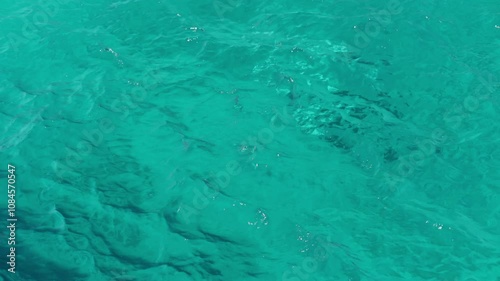 Wallpaper Mural Waves moving on azure Red Sea. Blue water surface, foam bubbles. Travel, boat trips, summer holidays, tourism. Travel beach holidays. Torontodigital.ca