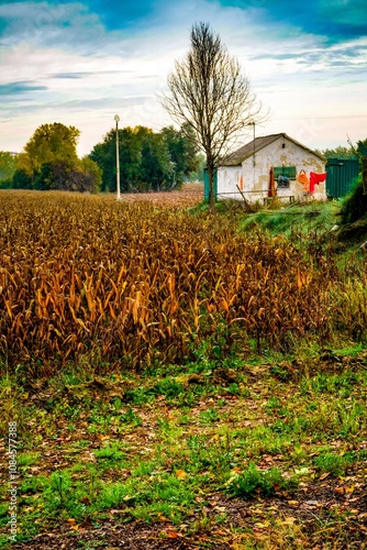 un campo y una antigua casa abandonada. photo