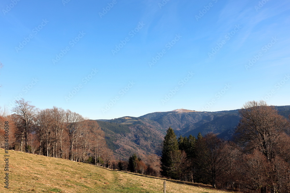 Fototapeta premium Herbstlandschaft auf dem Schauinsland bei Freiburg