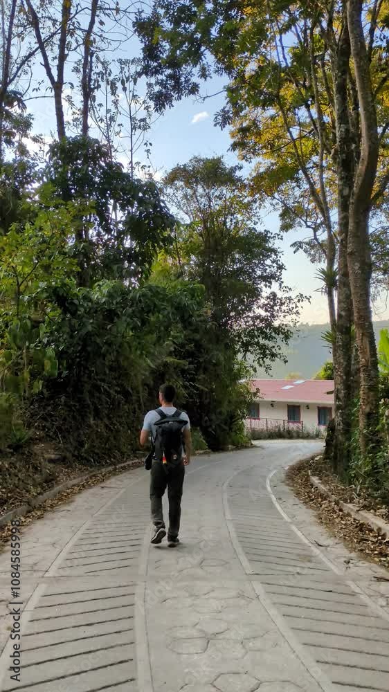 One Person Hiking Through a Woodland Path: Exploration and Discovery on an Asphalt Road in Colombia, Enjoying Solitude, Vitality, and Wellbeing Amidst Forested Mountains, Foliage