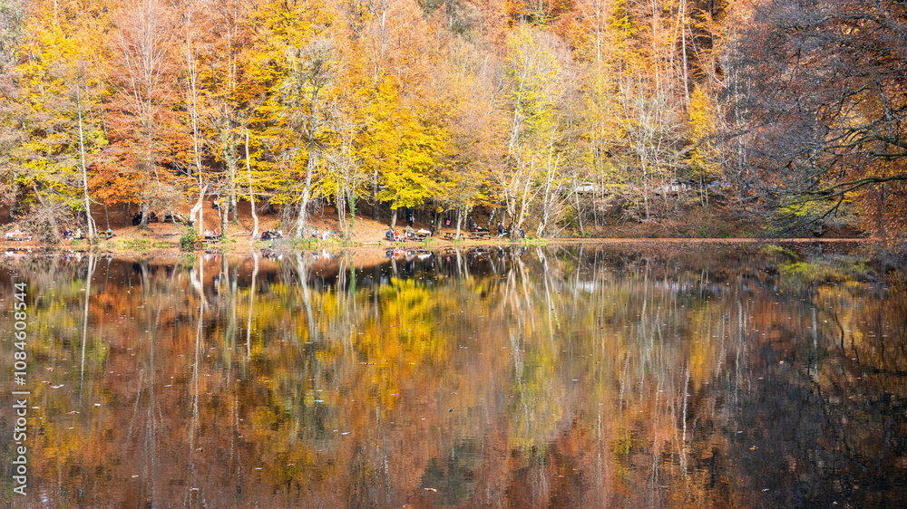 Autumn leaves falling into the lake, magnificent autumn view, bolu Yedigöller National Park Autumn leaves falling into the lake, magnificent autumn view, bolu Yedigöller National Park