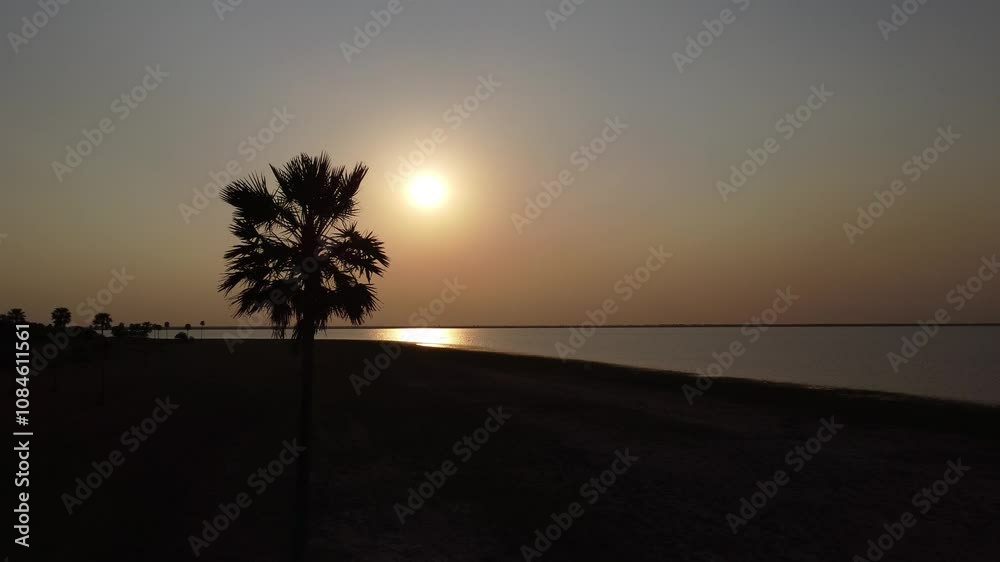Vuelo con dron en un atardecer sobre una laguna con palmeras