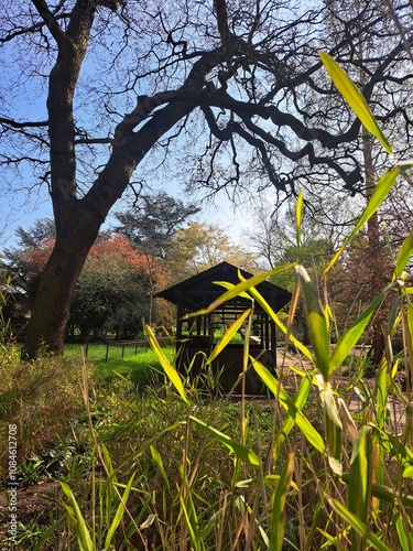 Scenic Park Views and Urban Landscapes in Canary Wharf London