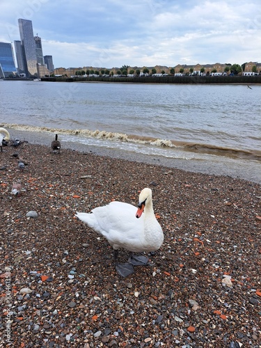 Scenic Park Views and Urban Landscapes in Canary Wharf London