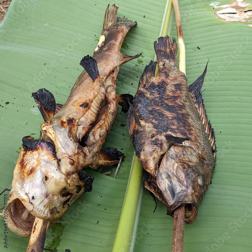 Outdoor Grilling: Fish Roasting on a Fire in Nature photo