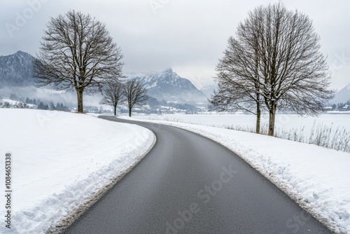 A snow covered road with three trees on either side