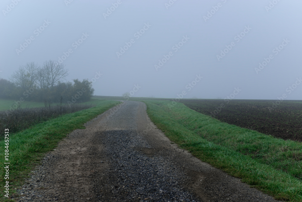 Fog outside the city on a cloudy autumn day in Bavaria. Fog outside the city on a cloudy autumn day in Bavaria.
