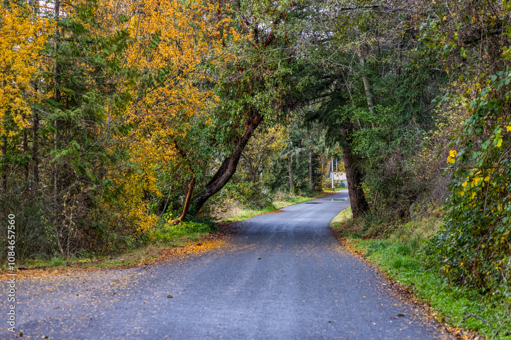 Fototapeta premium Scenic Autumn Road Near Swartz Bay on Vancouver Island