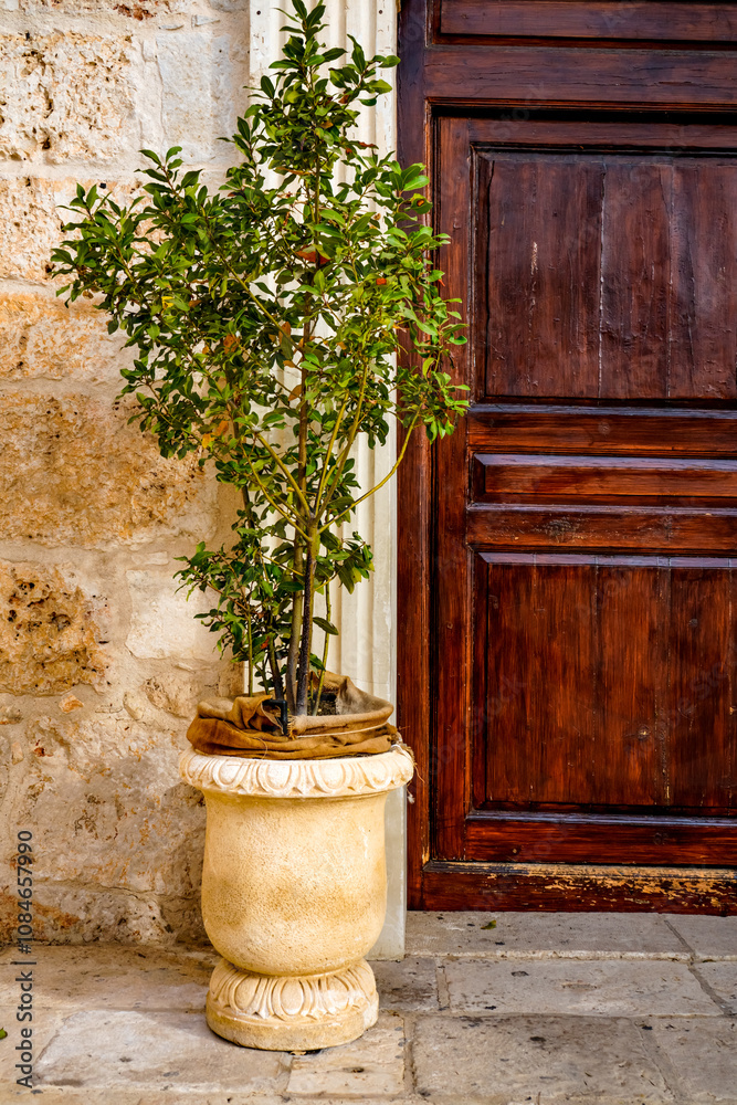 Antigua puerta de madera y maceta decorativa. Antigua puerta de madera y maceta decorativa.