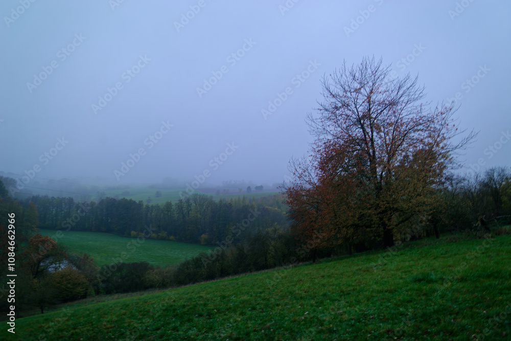 Fog outside the city on a cloudy autumn day in Bavaria. Fog outside the city on a cloudy autumn day in Bavaria.