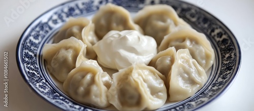 plate of dumplings with dollop of sour cream top view copy space food photography . 