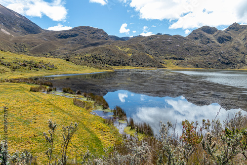 Ecuadorian Andes, El Cajas National Park. Mountain landscape. Lake (lagoon) Togllacocha at an altitude of 4000 m above sea level. Paramo ecosystem. Azuay Province near city Cuenca.