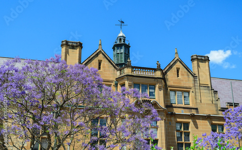 Photography The University of Sydney (USYD) is a public research university in Sydney, Australia