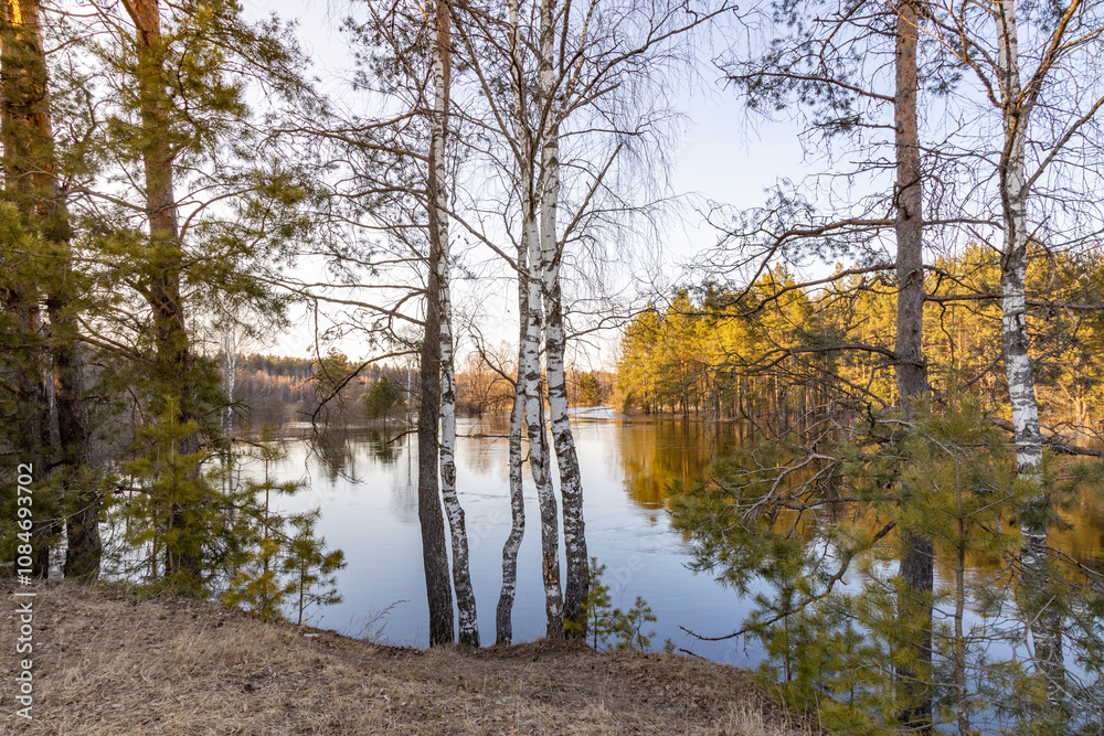 Obraz premium Serene scene of a lake surrounded by trees with a few trees in the foreground