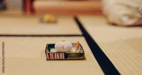 Japanese, ceremony and sweet with wagashi on tatami floor for traditional, serving and delicacy. Natural, wellness and culture with chakaiseki in chashitsu room for season, event and Hatsugama
