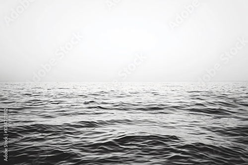 Calm Horizon: A Serene Black and White View of the Ocean