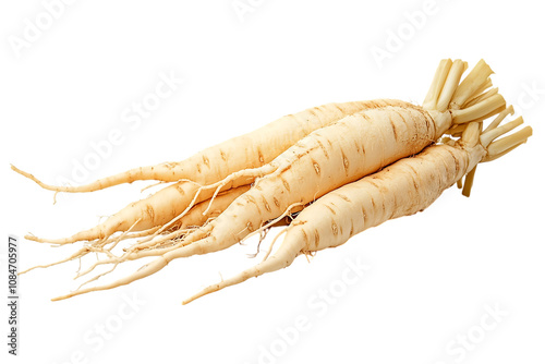 Ginseng isolated png on a transparent background