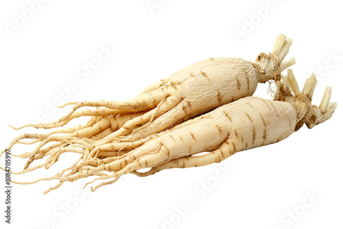 Ginseng isolated png on a transparent background