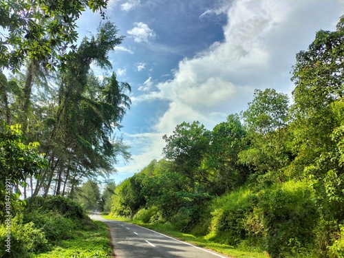 Beautiful green scenery on the mountain, under a bright and clear blue sky. Nature Background