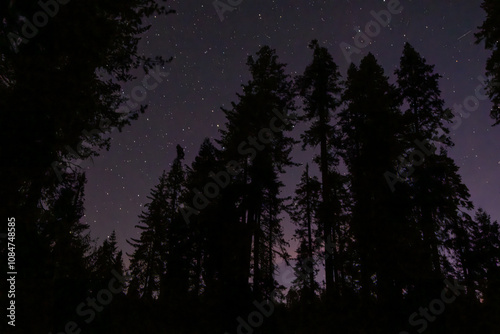 Night in the Sierra Nevada