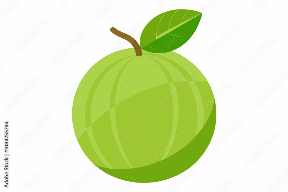 Delicious amla white background vector art illustration Delicious amla white background vector art illustration