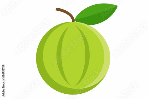 Delicious amla white background vector art illustration