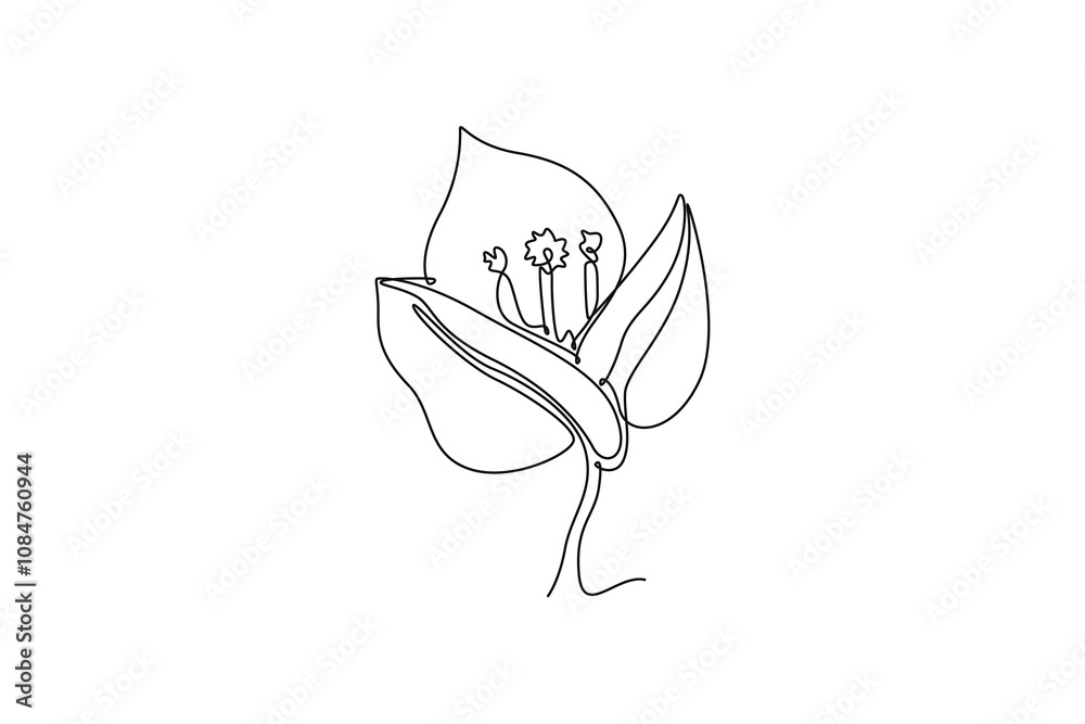Fototapeta premium Single one line drawing beauty fresh bougainville for home wall decor art. Printable decorative poster thorny vine flower for greeting card ornament. Continuous line design graphic vector illustration
