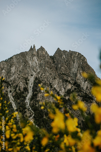 rocks in the mountains